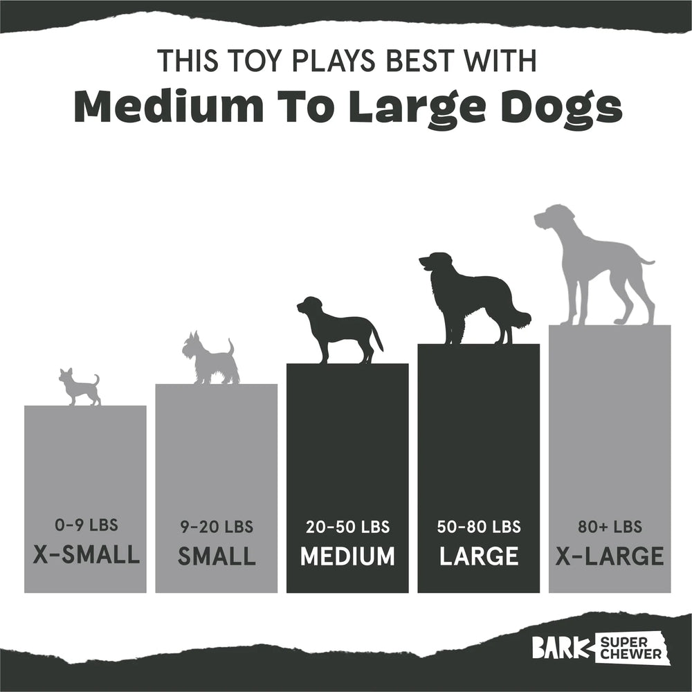 BARK P.B. Beaver The Grrreat Outdoors Super Chewer Dog Toy