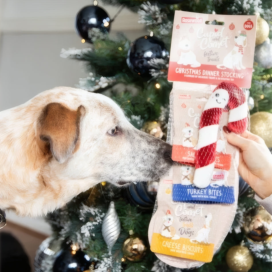 Rosewood Cupid & Comet Christmas Dinner Dog Stocking