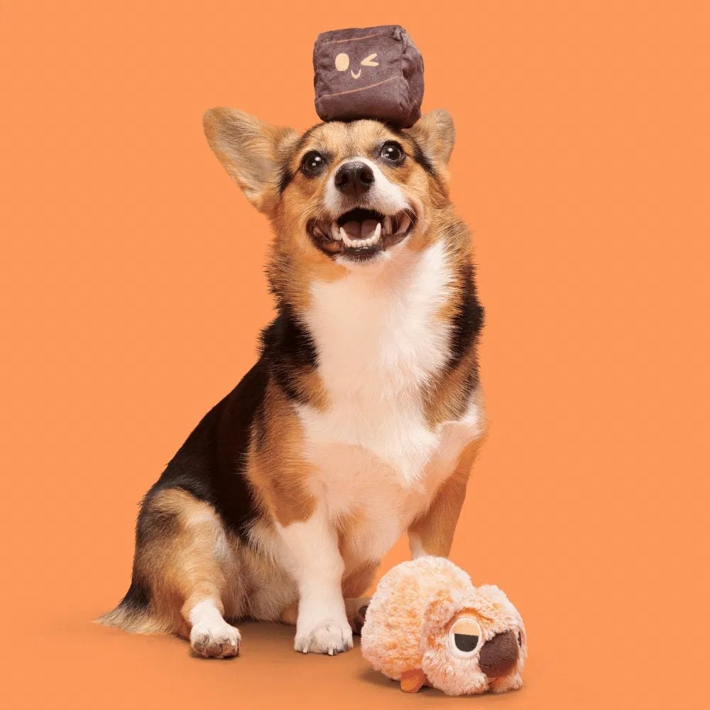 BARK Walken Wombat Australian Outbark Dog Toy