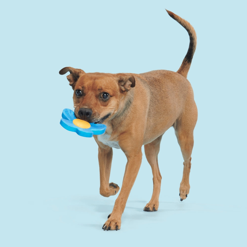 BARK Blue Power Flower Backyard Garden Super Chewer Dog Toy