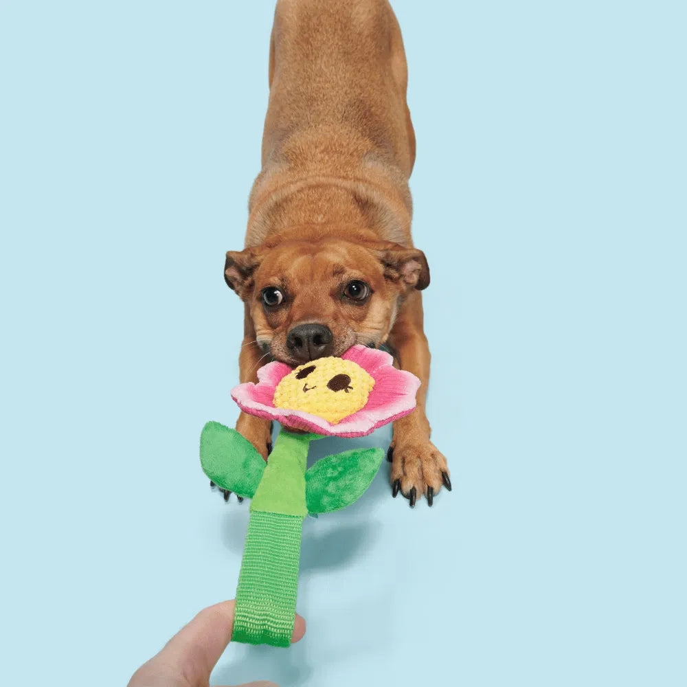BARK Penny Pechewnia Backyard Garden Dog Toy