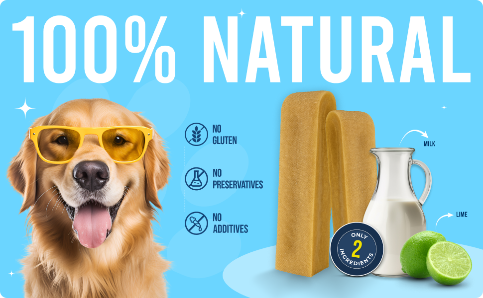 Yakchoo Himalayan Yak Cheese Dog Chews – Medium 70g - 2 or 3 Pack Options