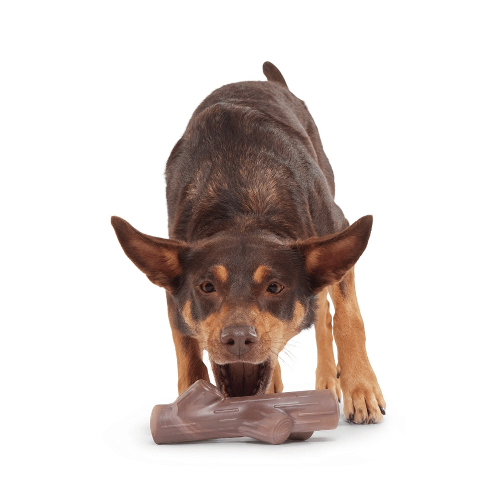 BARK Fall Fetch Stick The Grrreat Outdoors Super Chewer Dog Toy