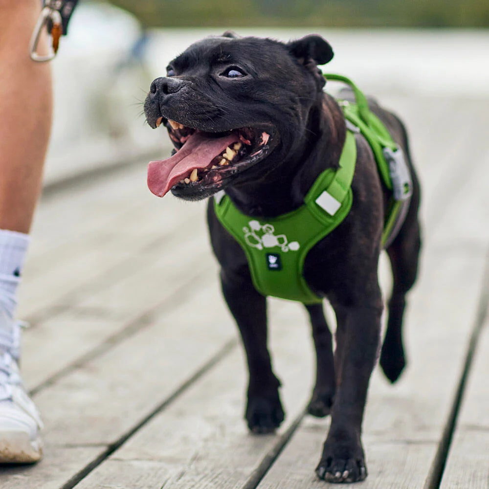 Hurtta Weekend Warrior II ECO Dog Harness Raven 5 Sizes