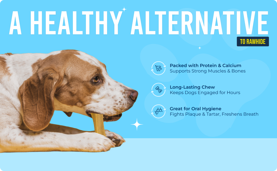 Yakchoo Himalayan Yak Cheese Dog Chews – Large 130g - 2 or 3 Pack Options