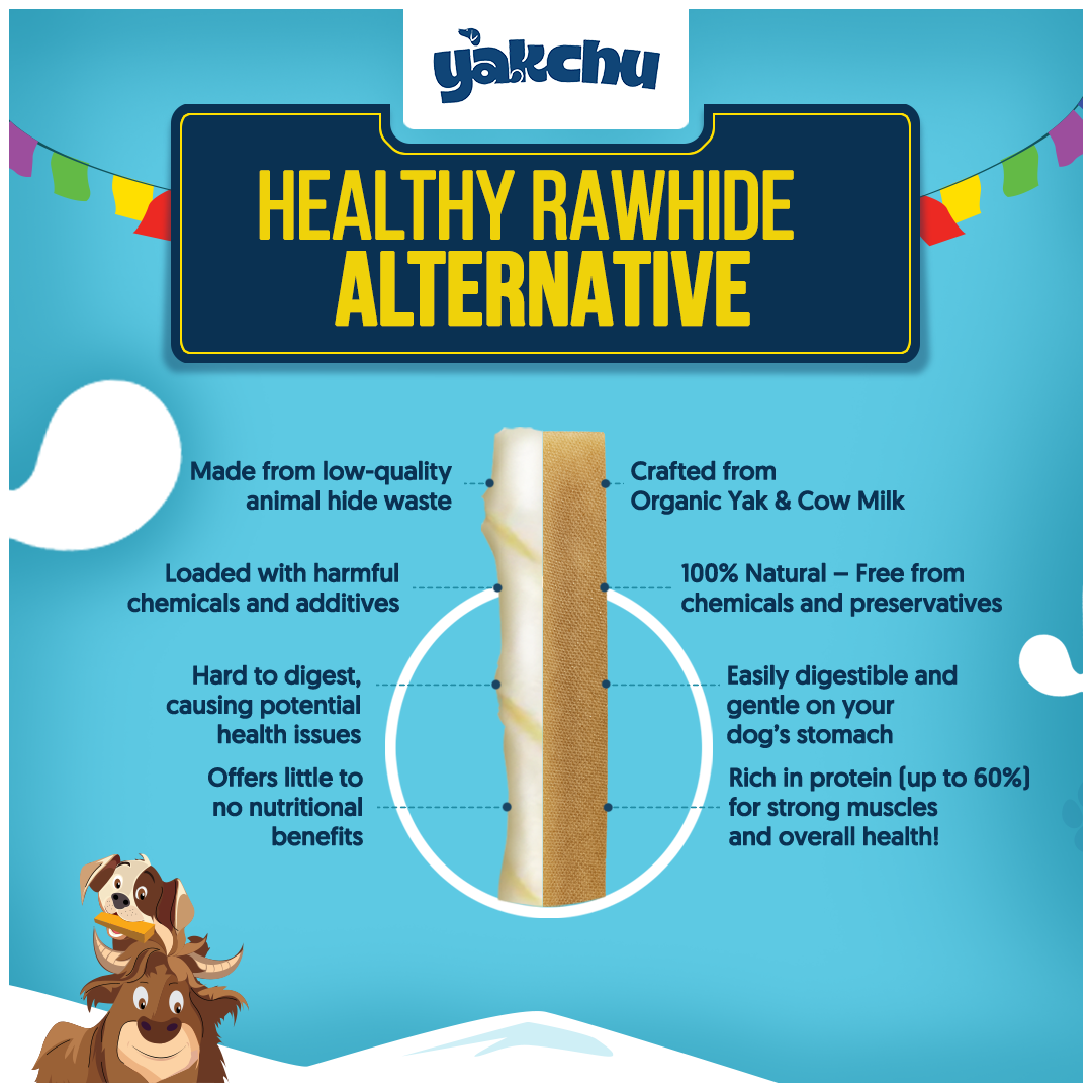 Yakchoo Himalayan Yak Cheese Dog Chews – Large 130g - 2 or 3 Pack Options