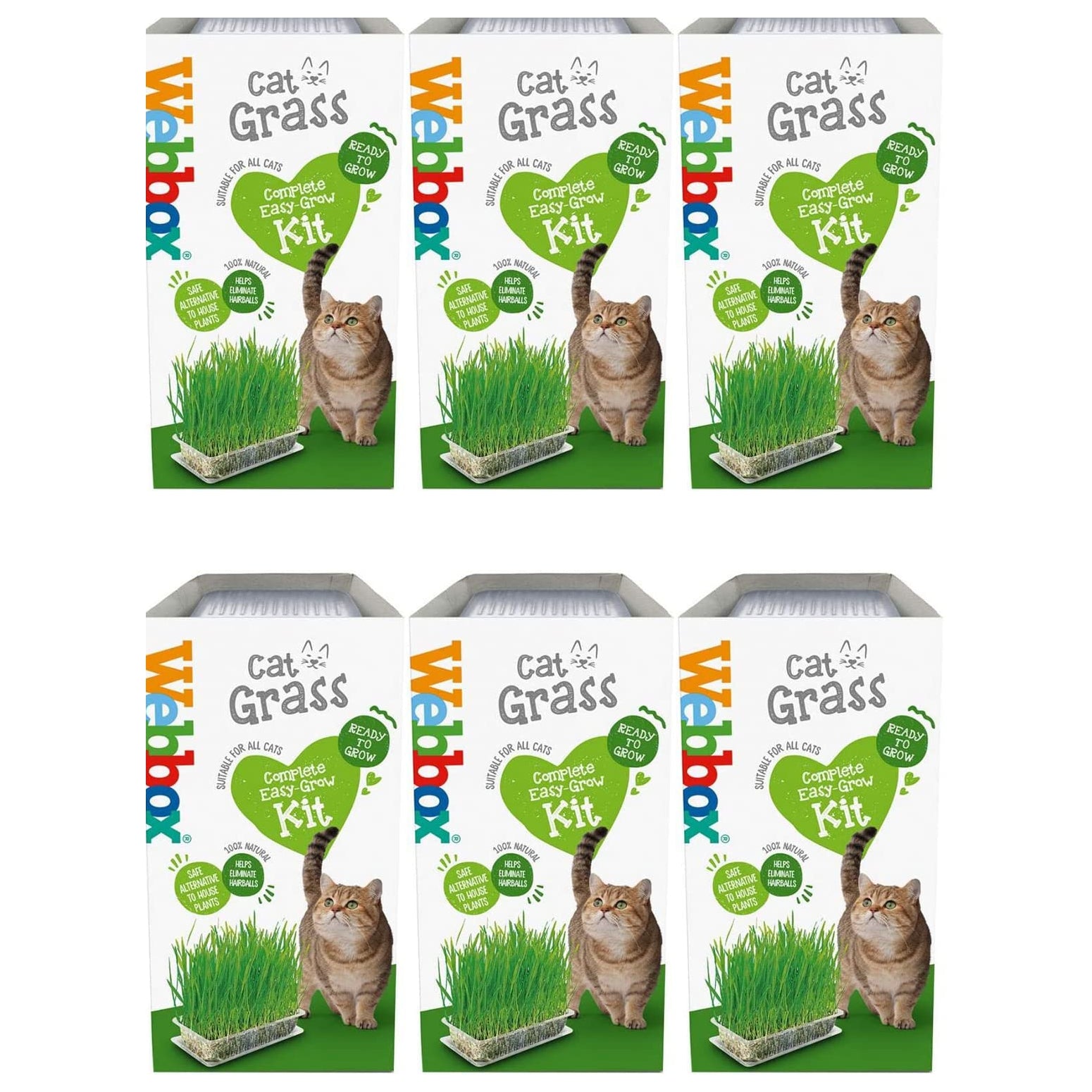 Webbox Cat Grass Kit