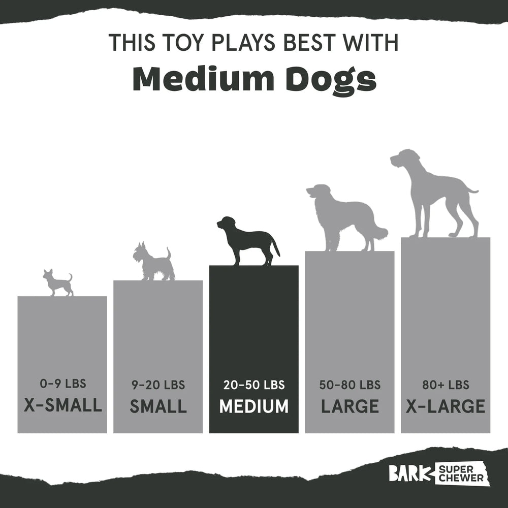 BARK A Squeaky Meat-A-Ball Super Chewer Dog Toy