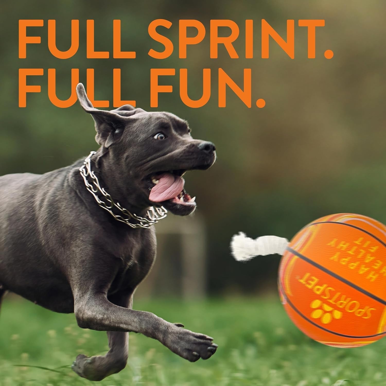 Sportspet Dog Toy TEAM Basketball Size 3 (large)