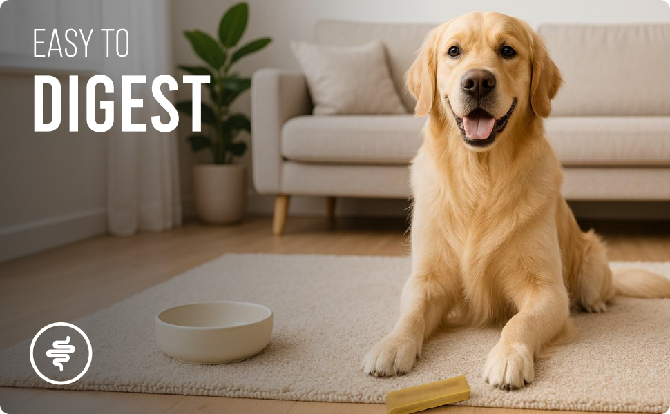 Yakchoo Himalayan Yak Cheese Dog Chews – Large 130g - 2 or 3 Pack Options