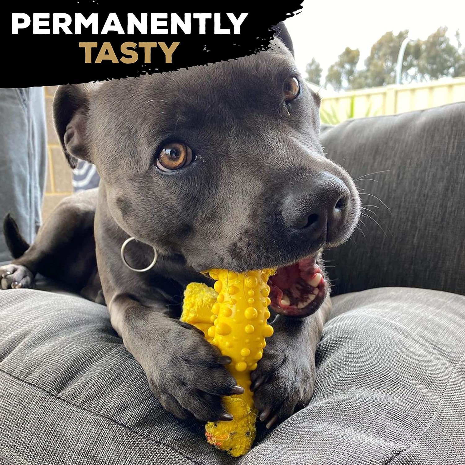 TastyBone TRIO Tough Nylon Dog Chews for Toy Dogs 5 Flavours