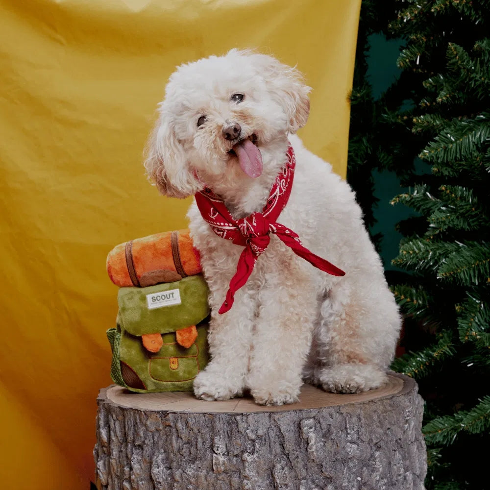BARK Rowdy Ruckus Rucksack Grrreat Outdoors Dog Toy