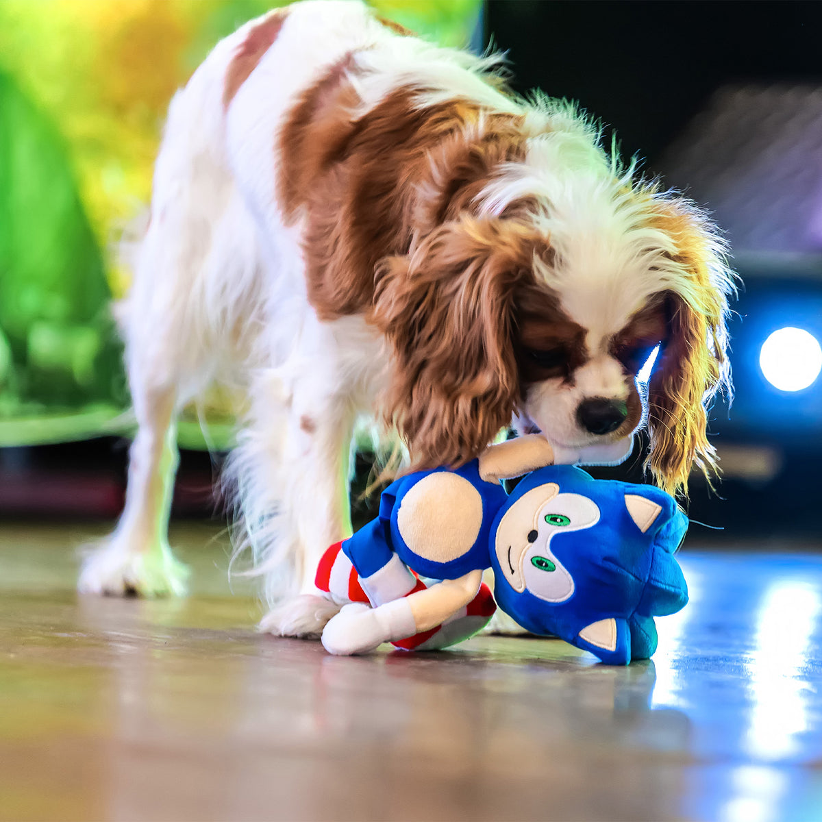 Multipet Sonic the Hedgehog Plush Dog Toy - Sonic