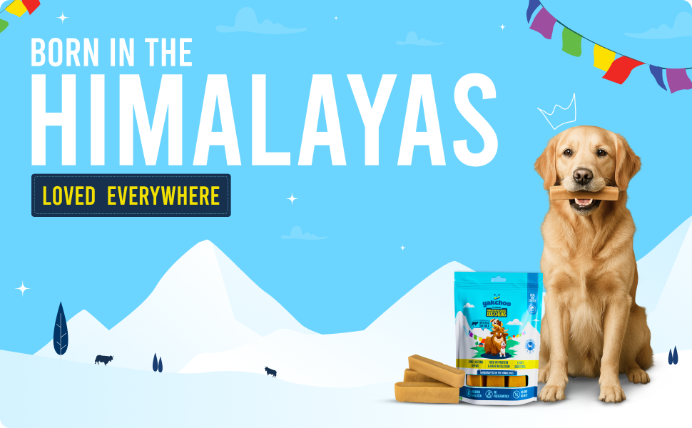 Yakchoo Himalayan Yak Cheese Dog Chews – Small 30g - 5 Pack