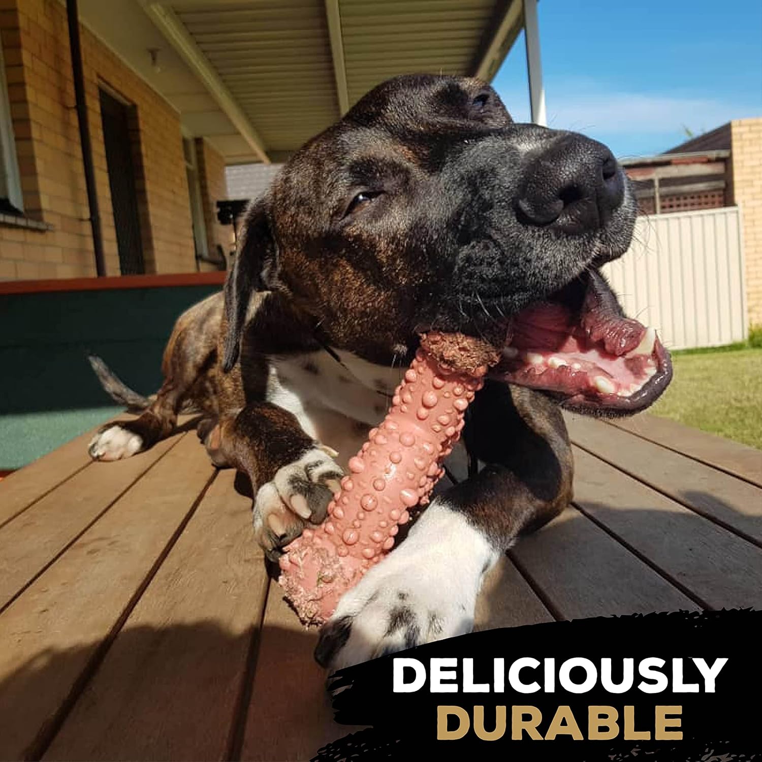 TastyBone TRIO Tough Nylon Dog Chews for Large Dogs 5 Flavours