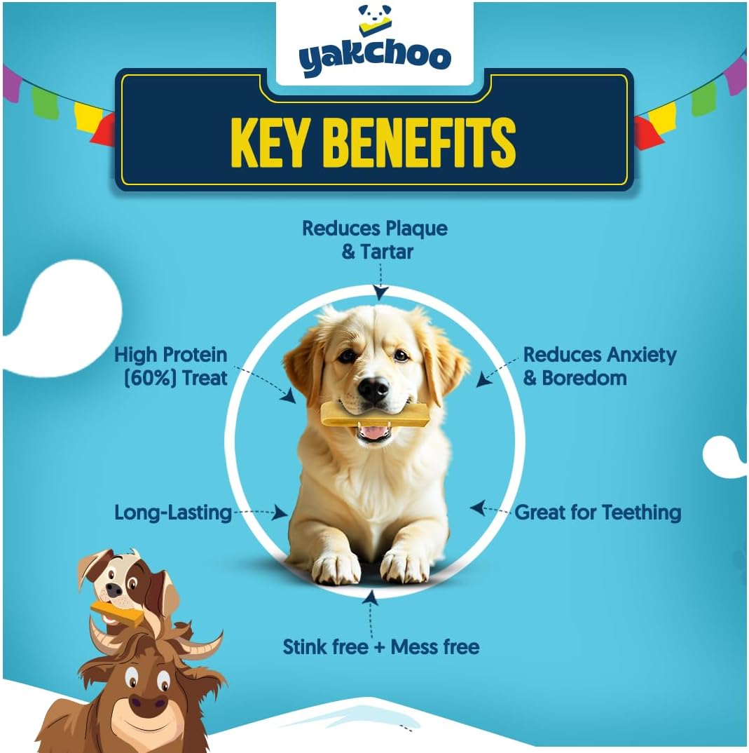 Yakchoo Himalayan Yak Cheese Dog Chews – Medium 70g - Blueberry Coconut & Mango 3 Pack
