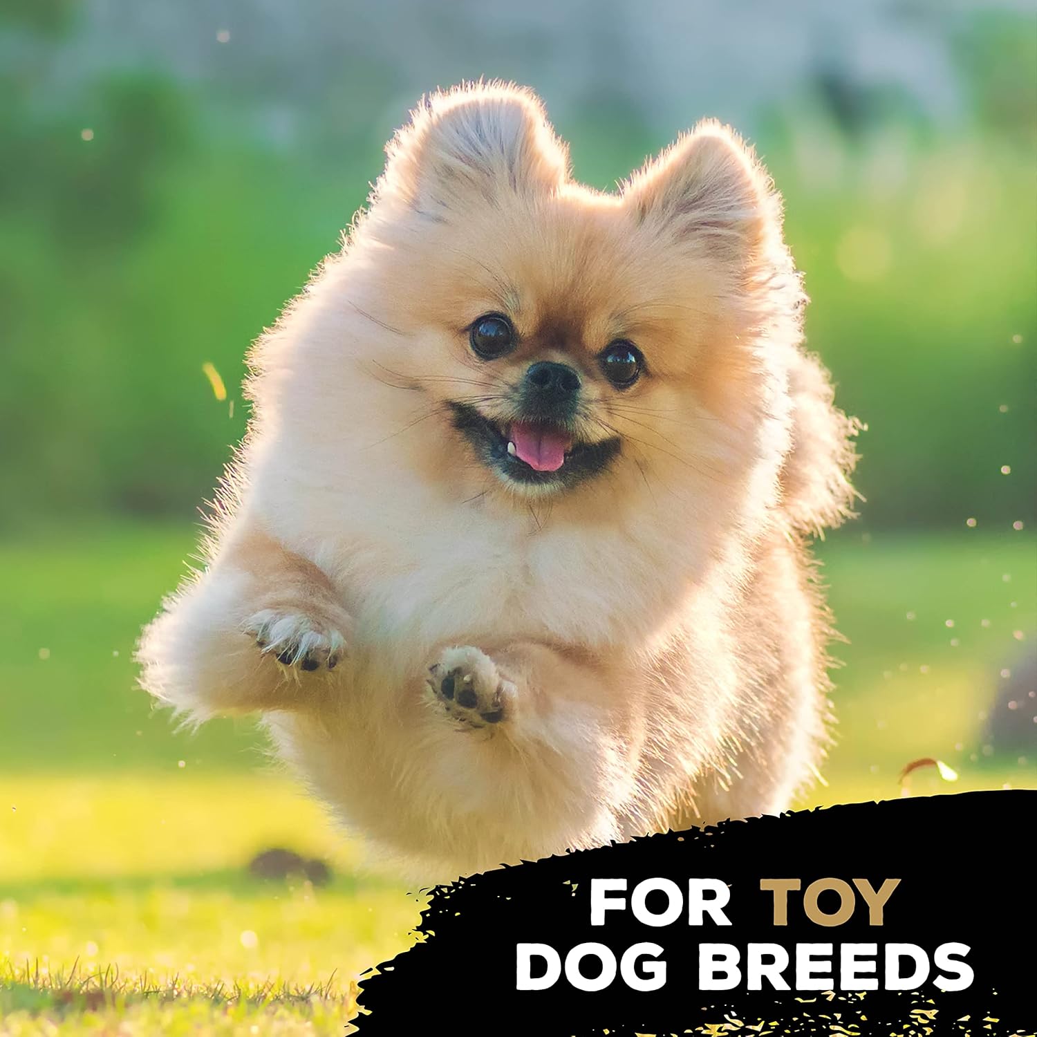 TastyBone TRIO Tough Nylon Dog Chews for Small Dogs 5 Flavours