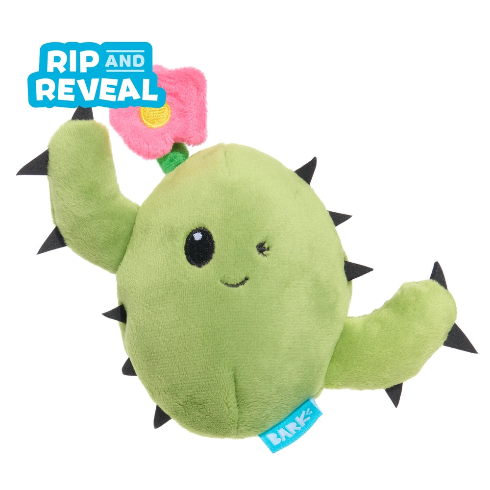 BARK Consuela The Cactus Plush Dog Toy