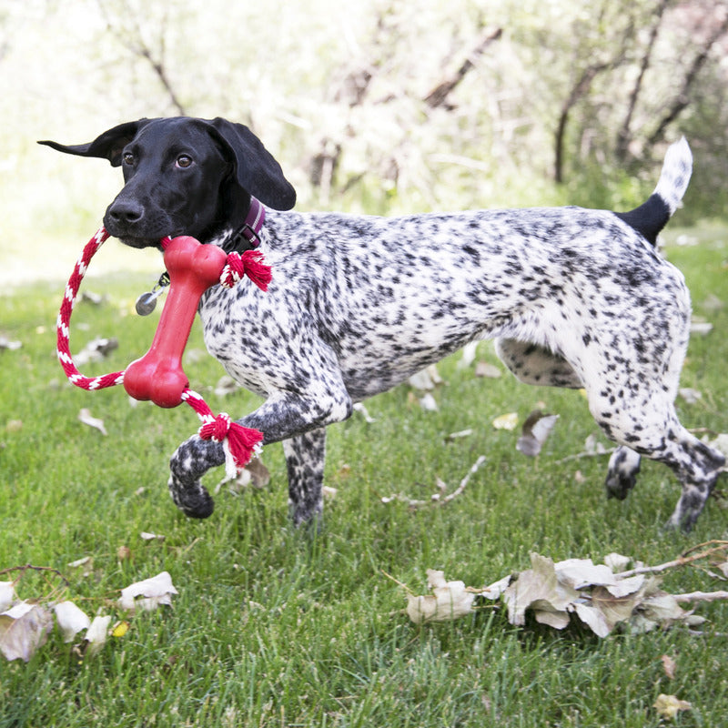 KONG Goodie Bone w/Rope