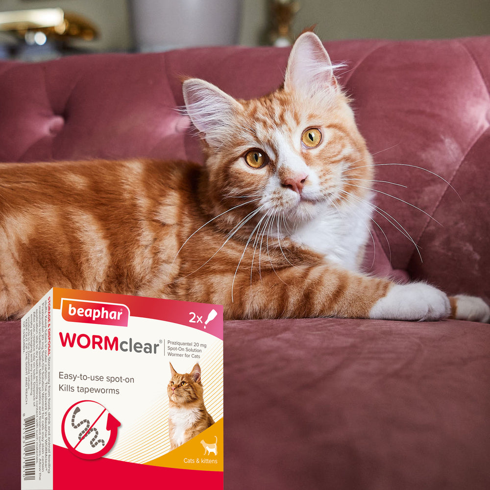 Beaphar WORMclear for Cats Worming Spot-On Solution x 2