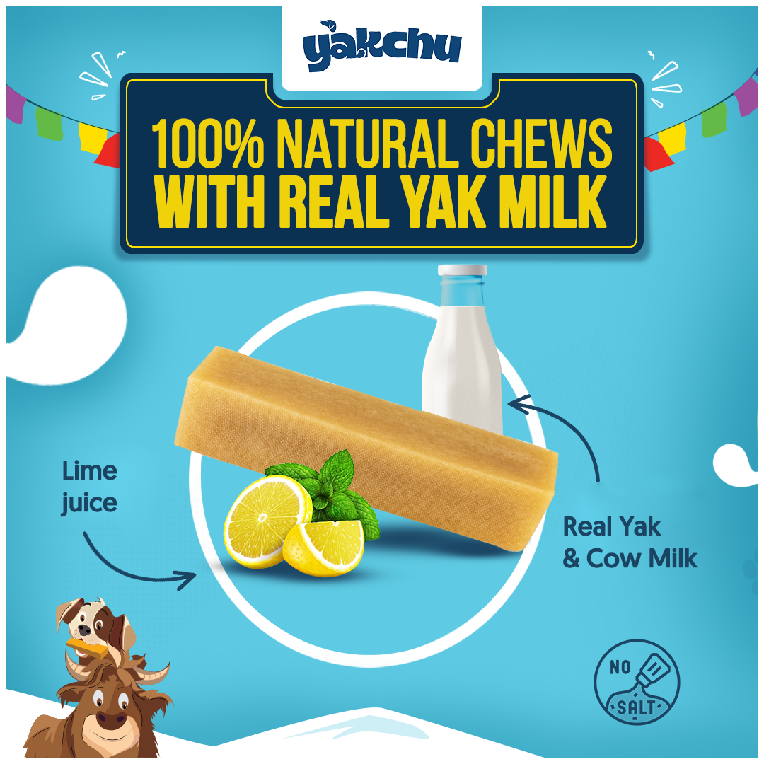 Yakchoo Himalayan Yak Cheese Dog Chews – Large 130g - 2 or 3 Pack Options