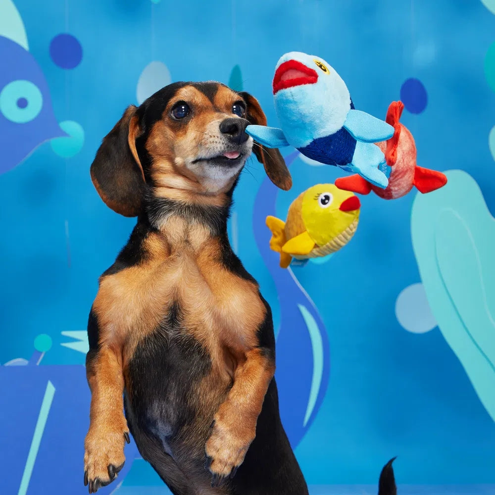 BARK The Groupers Plush Dog Toys