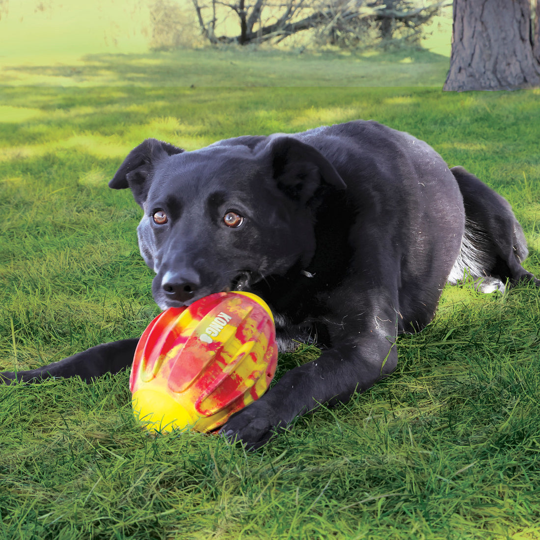 KONG Flexball Sport Football