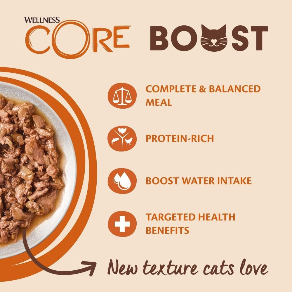 Wellness CORE Cat Boost Kitten Chicken with Salmon 14 x 85g