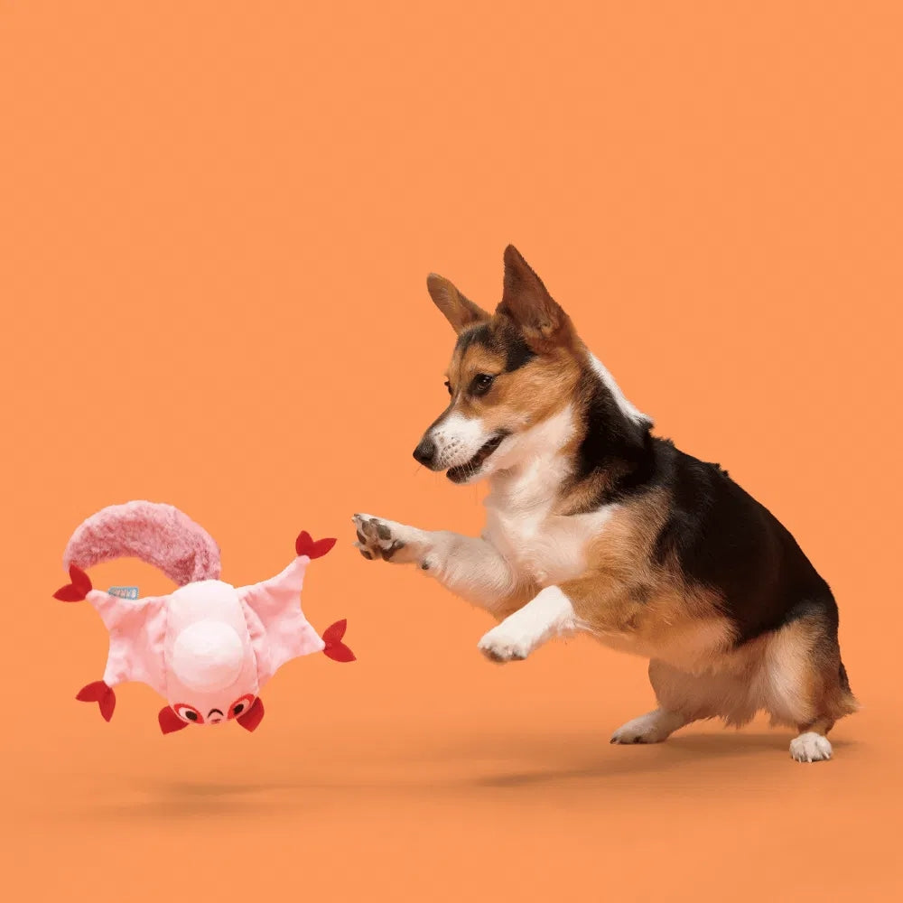 BARK Sydney Sugar Glider Australian Outbark Dog Toy