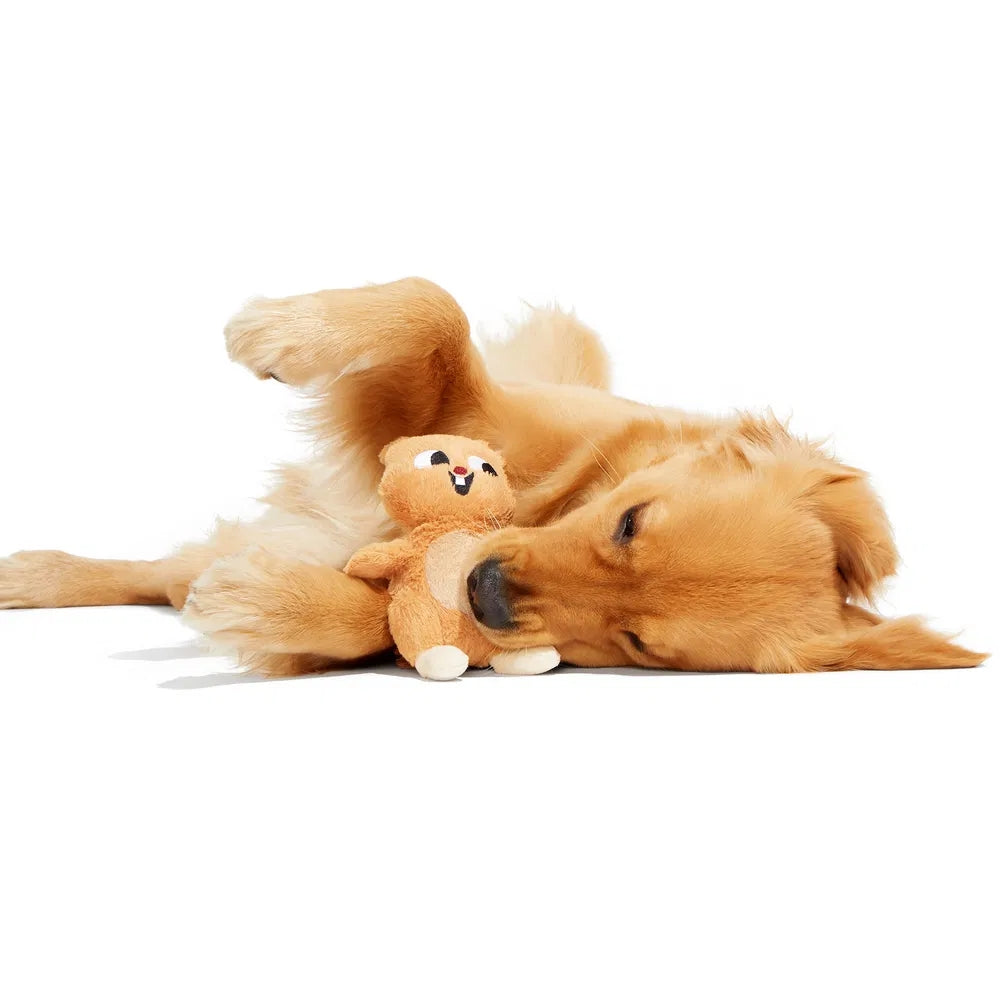 BARK Pearl Squirrel Plush Dog Toy