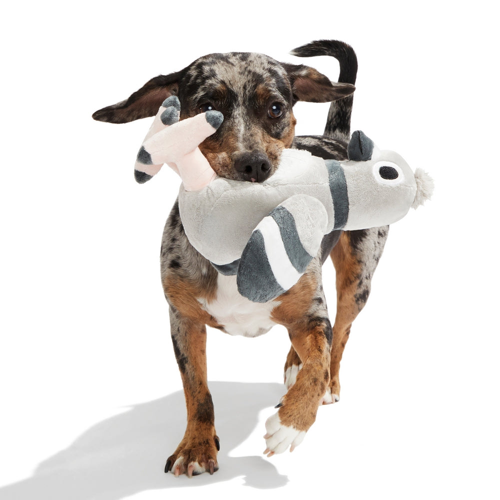 BARK Flappin' Flossie Plush Dog Toy