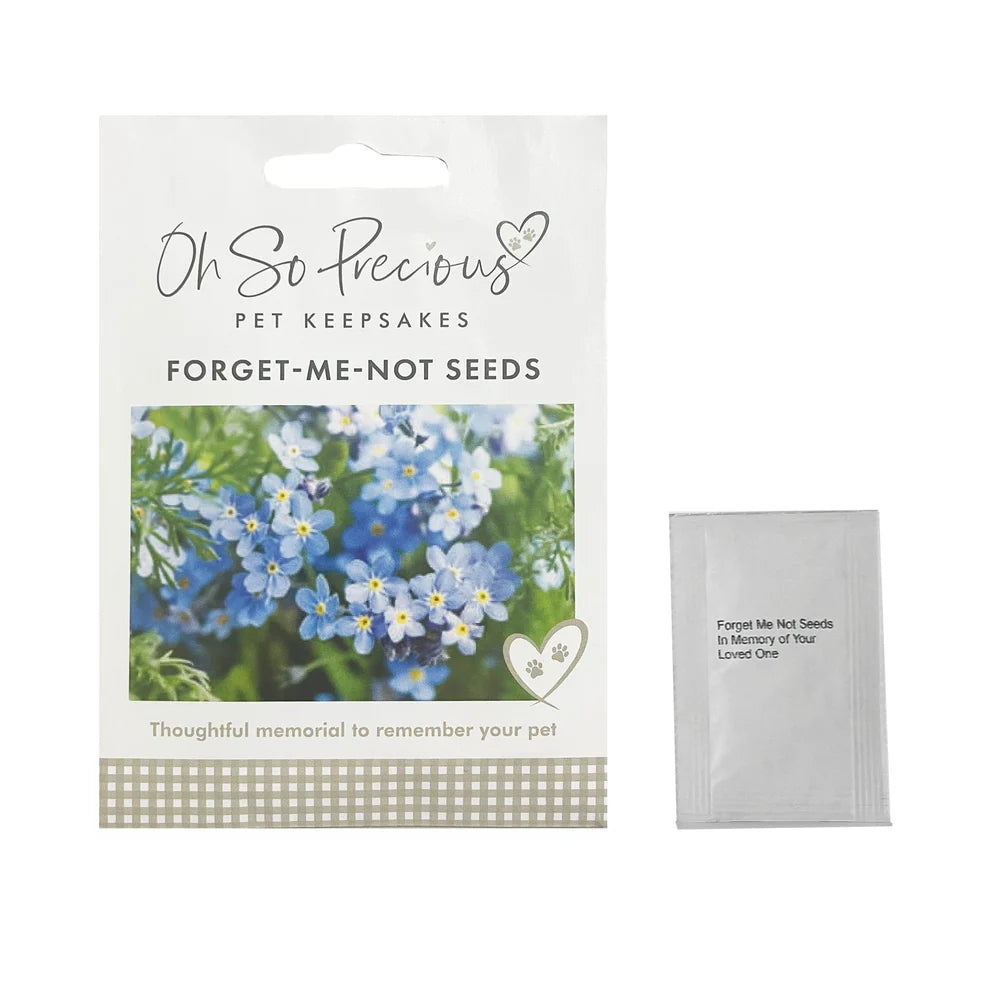 Oh So Precious Forget-Me-Not-Seeds