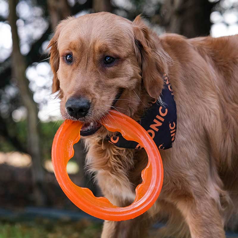 BIONIC Toss-N-Tug Turbo Ring Dog Toy