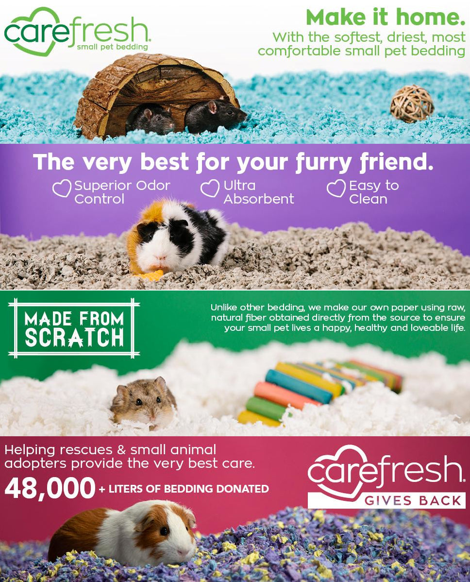 Carefresh Small Pet Bedding Tutti Frutti 10L
