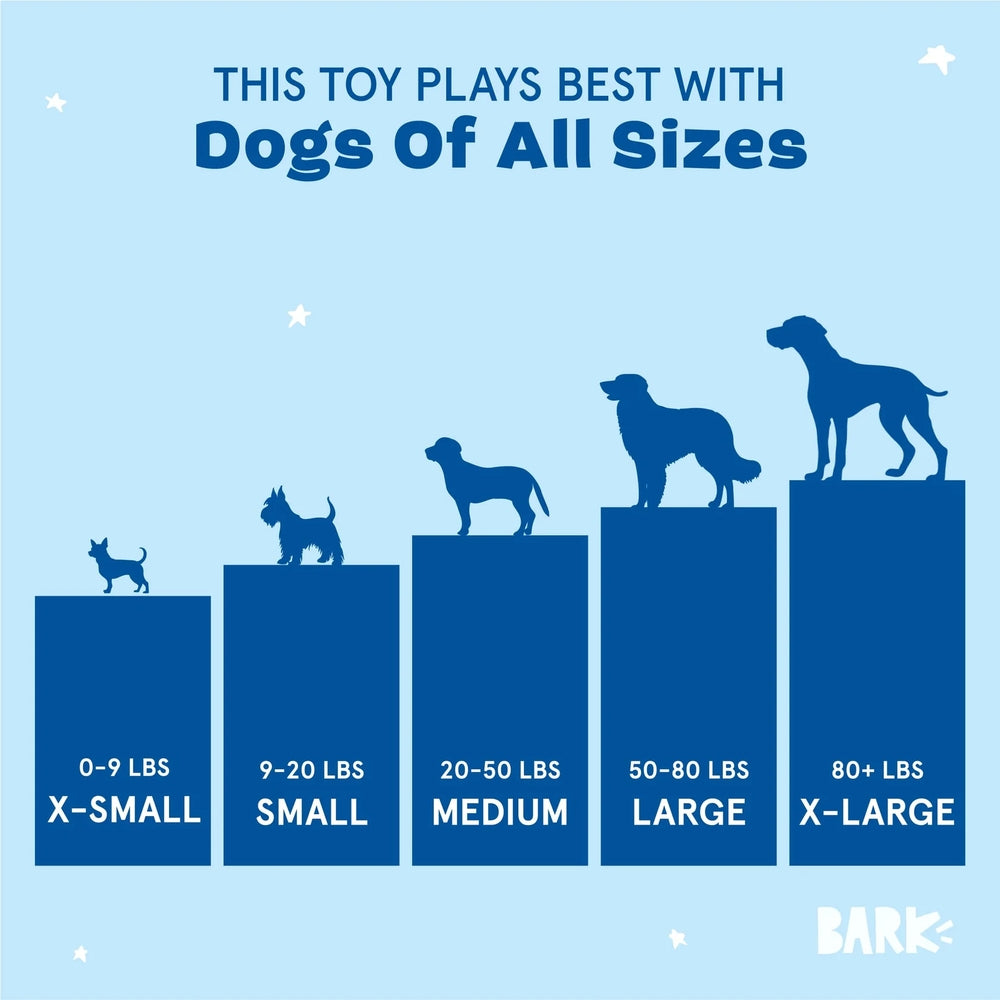 BARK Barkbeard'S Rum Plush Dog Toy