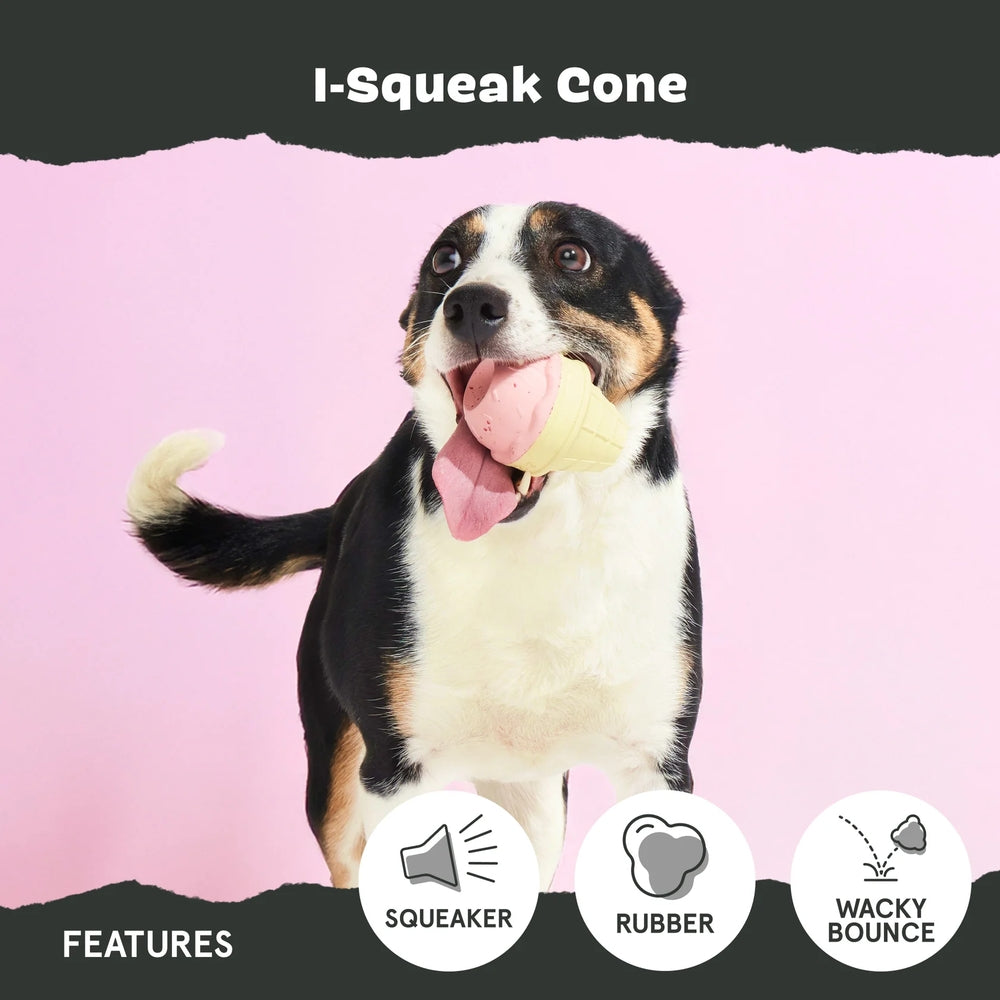 BARK I-Squeak Cone Super Chewer Dog Toy