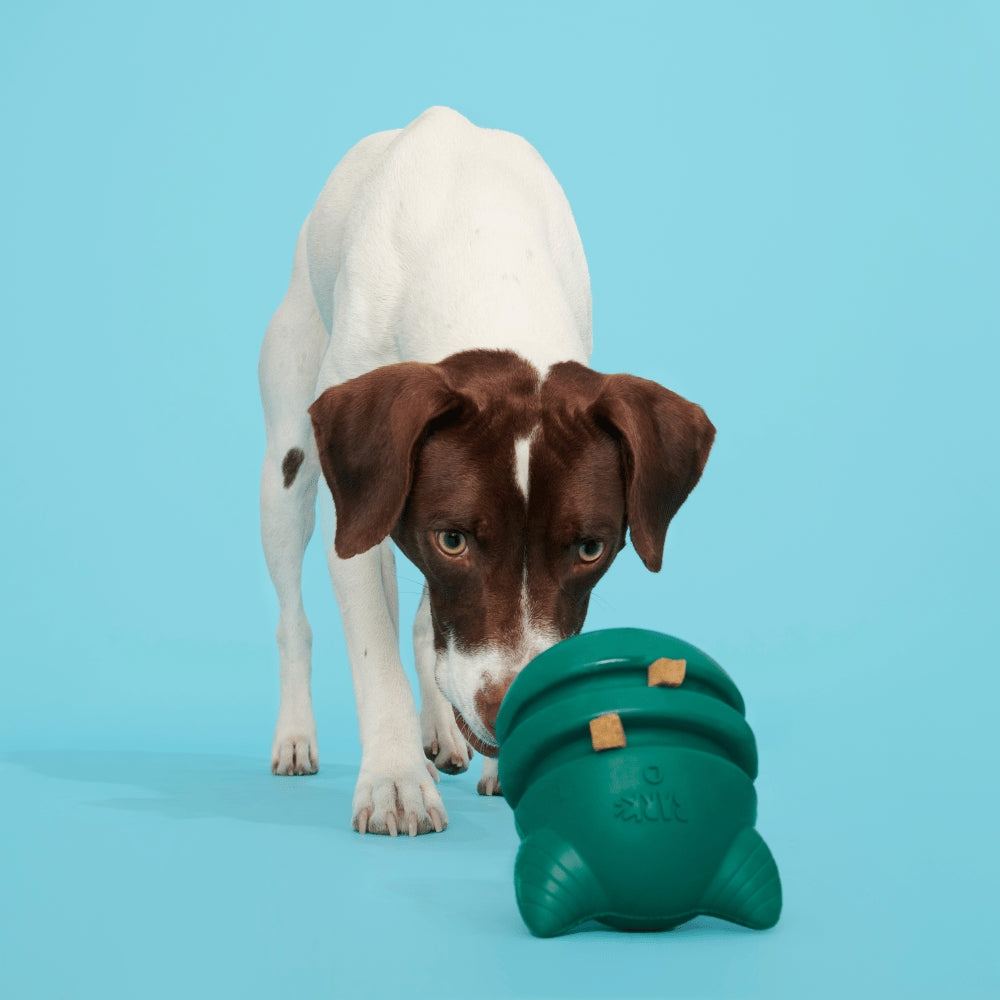 BARK Aurora Beast Super Chewer Dog Toy