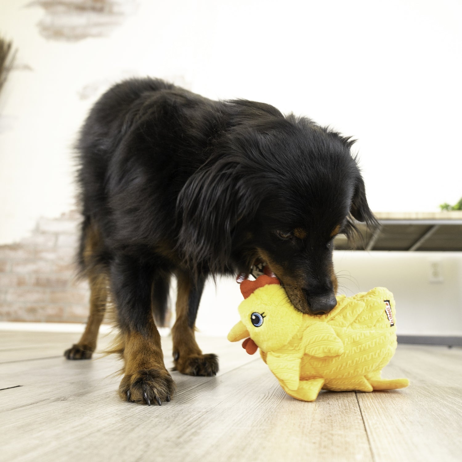 KONG Layerz Forage Hen