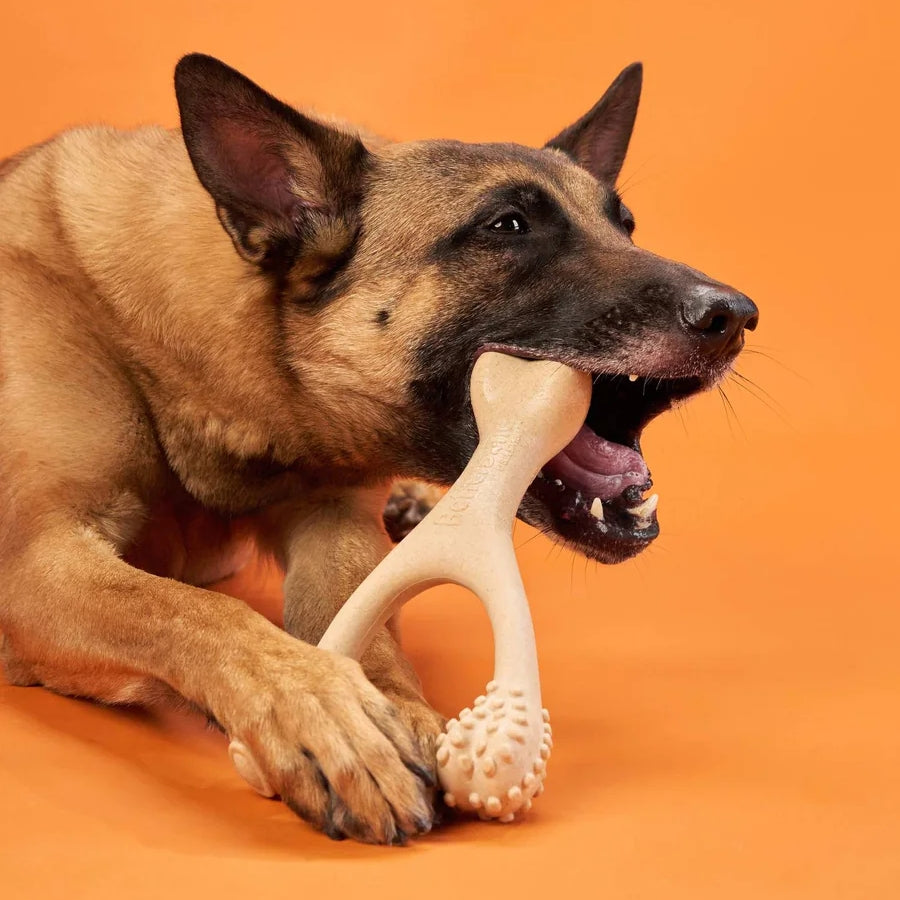 BetterBone Dog Chew Toys SOFT Durability Beef Flavour 3 Sizes