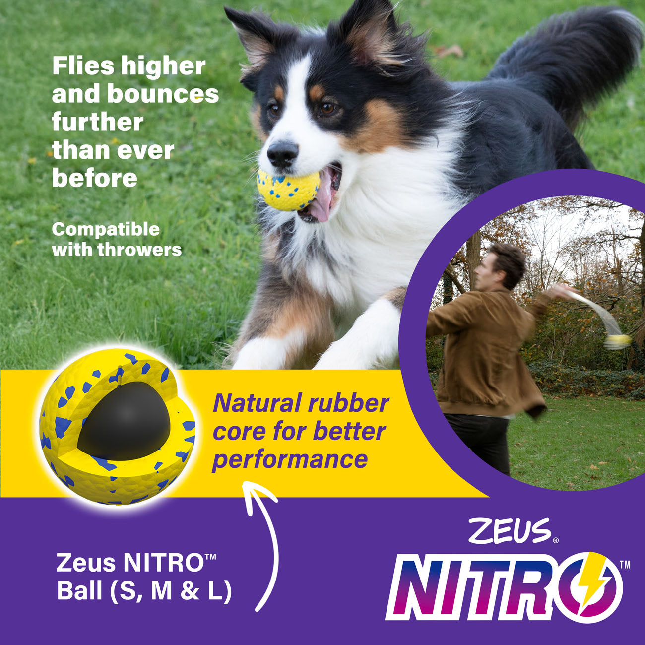 Zeus NITRO Weighted Ball Dog Toy 3 Sizes