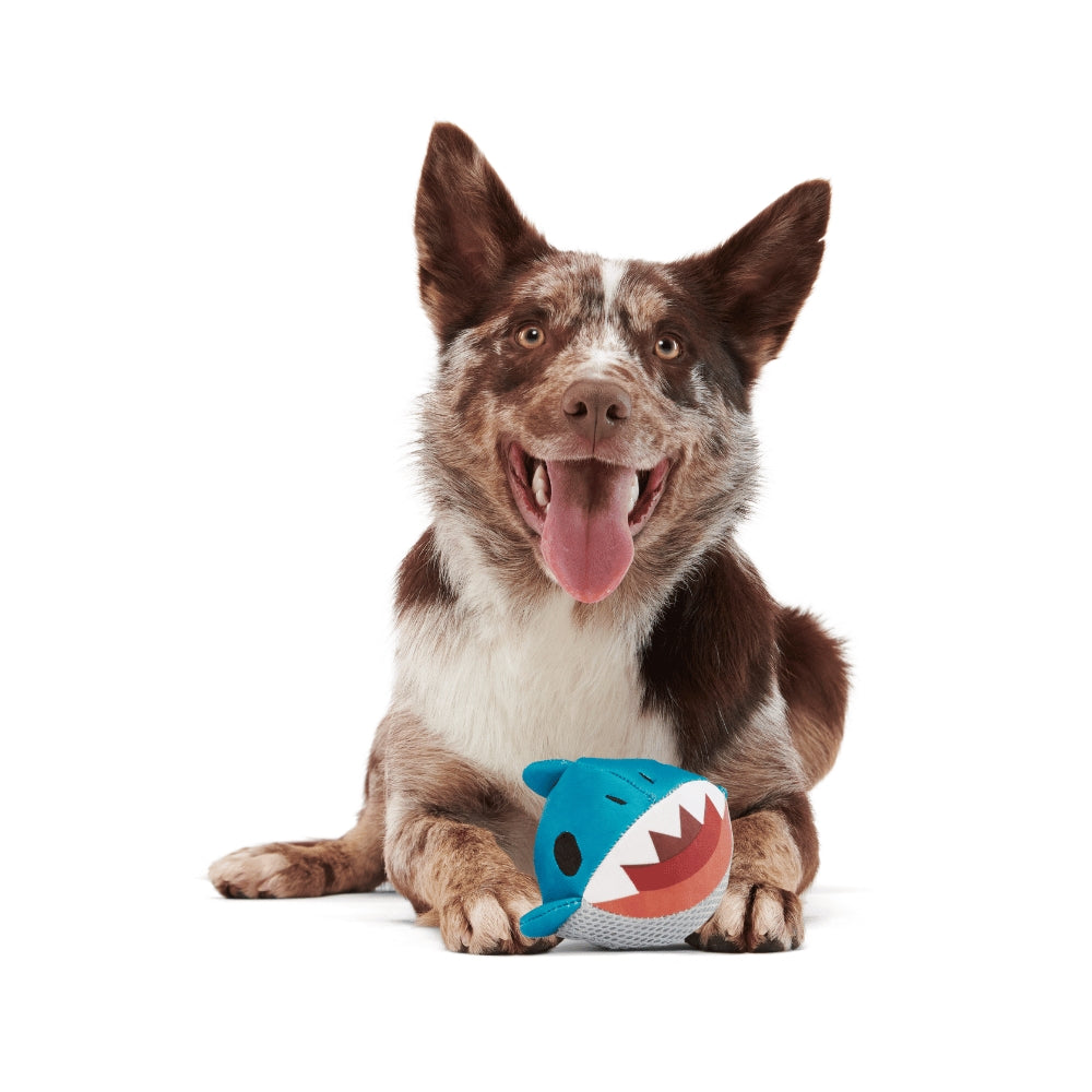 BARK Great White Dwight Super Chewer Dog Toy