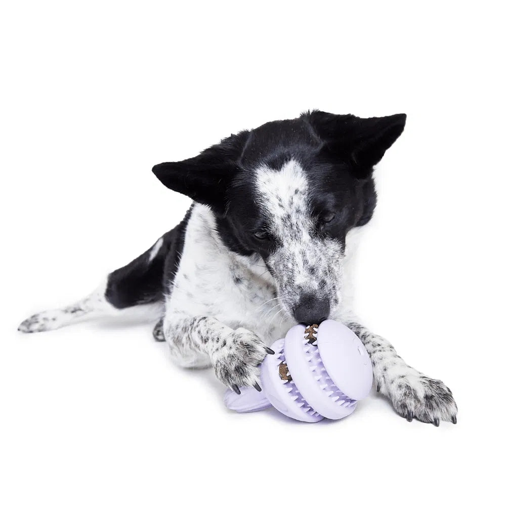 BARK Hippie Hopper Backyard Garden Super Chewer Dog Toy