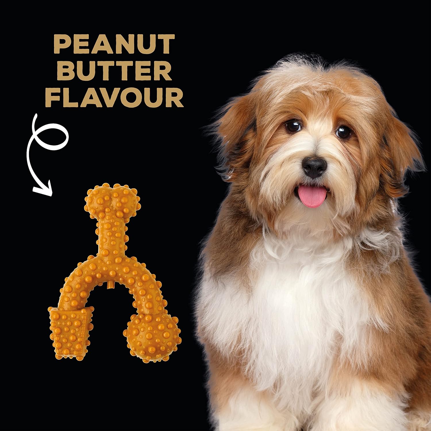 TastyBone TRIO Tough Nylon Dog Chews for Toy Dogs 5 Flavours