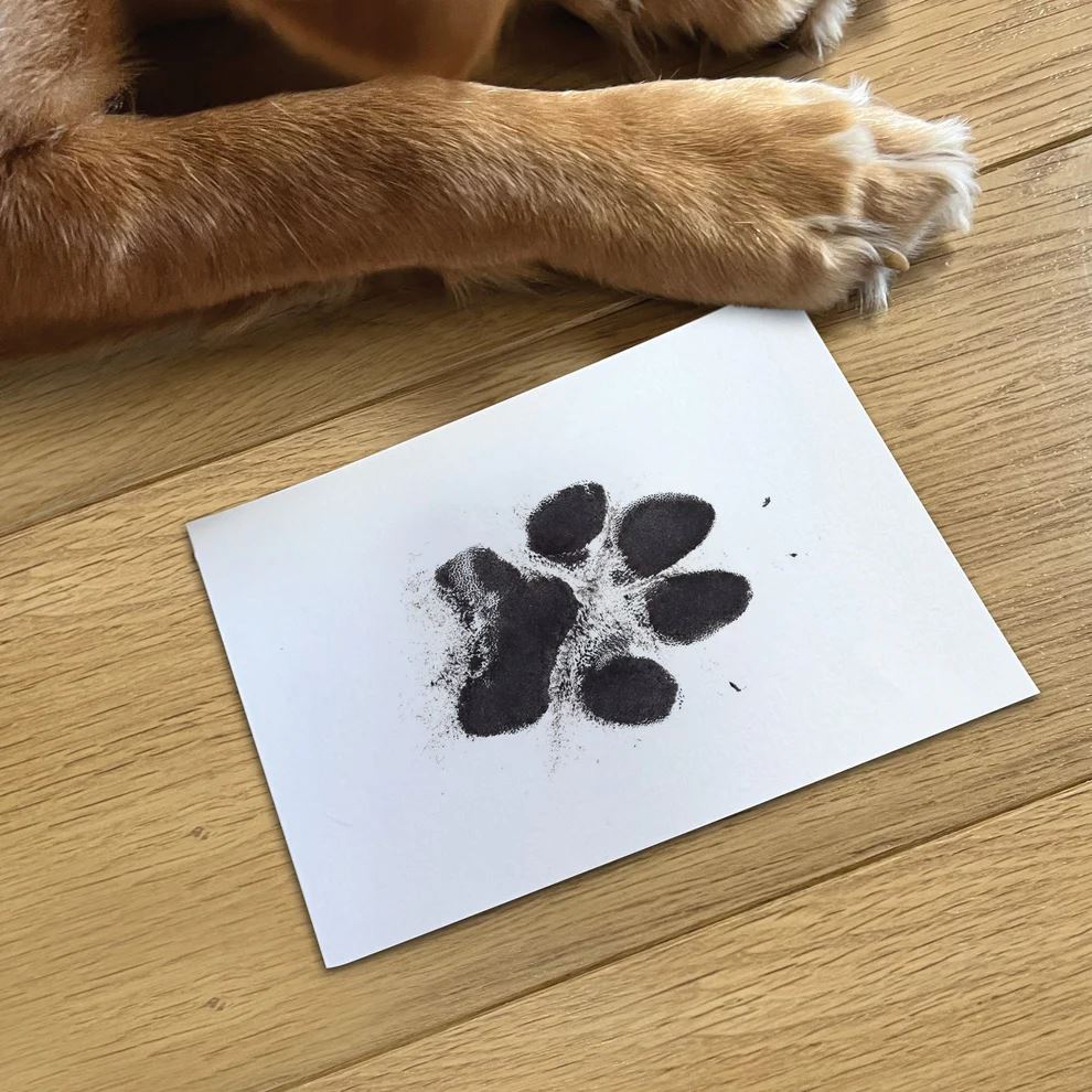 Pet Safe Non-toxic XL Paw Print Ink Pad Kit for Larger Paws