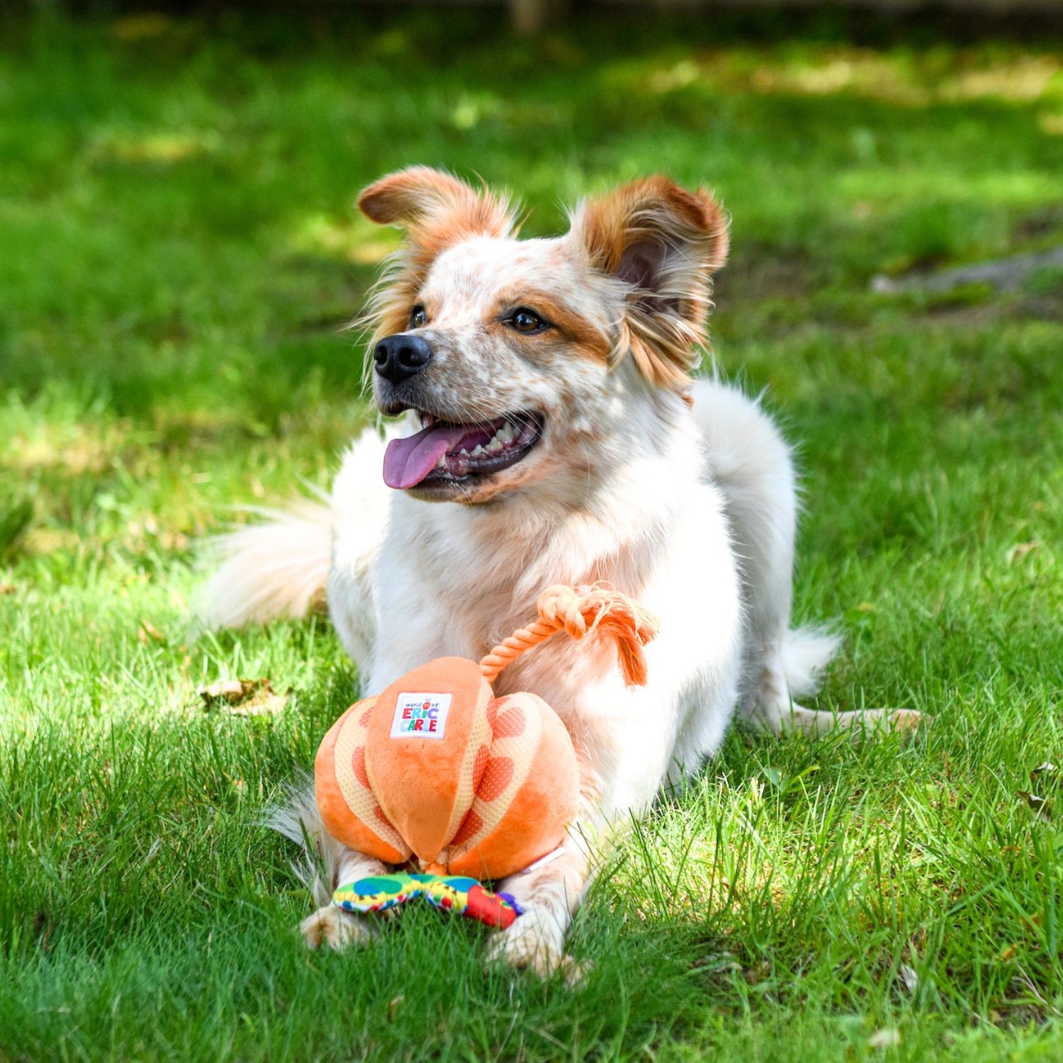 Eric Carle™ The Very Hungry Caterpillar Orange Rope Tug Dog Toy