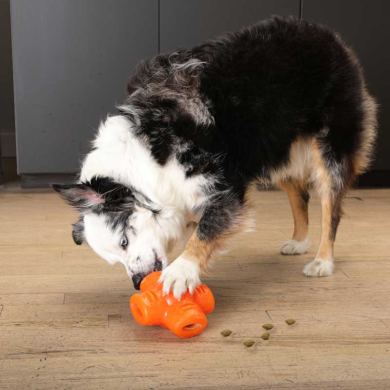 BIONIC Treat Star Dog Toy